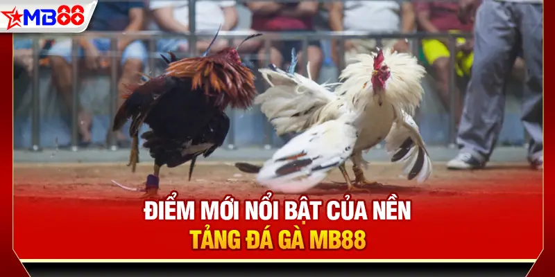 Điểm mới nổi bật của nền tảng đá gà MB88