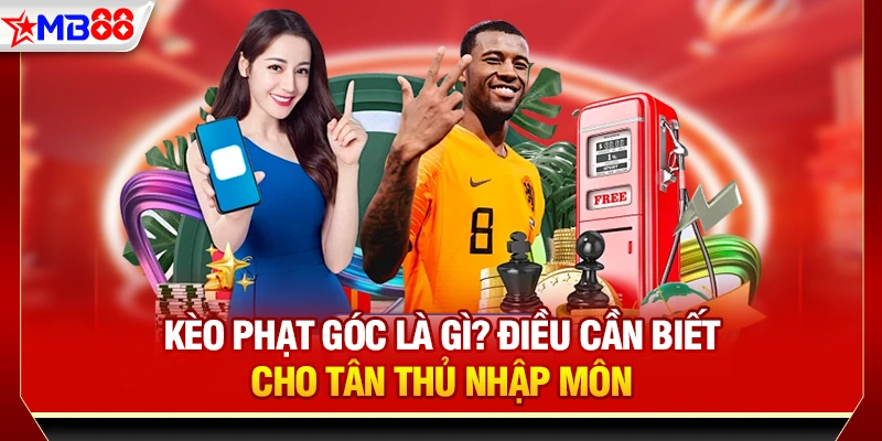 Kèo phạt góc là gì? Điều cần biết cho tân thủ nhập môn
